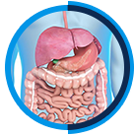 Digestive Symptom Evaluation