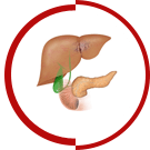 Hepatobiliary Disease