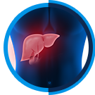 Liver & Metabolic Health